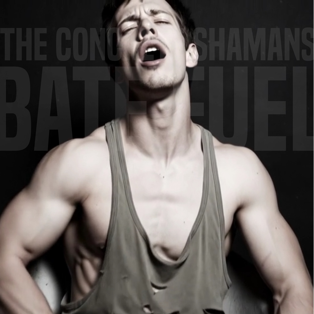 cover 2