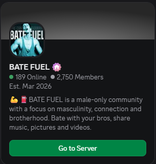 discord server img